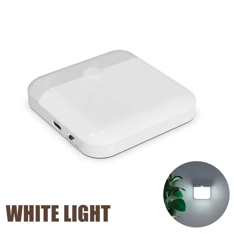 Indoor Motion Sensor Light for Wardrobes, Bedsides, etc